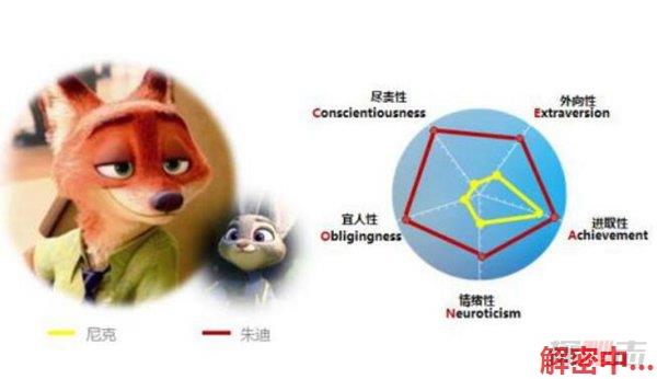 2605280802463852.jpg