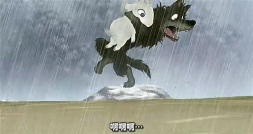2605310040235413.jpg