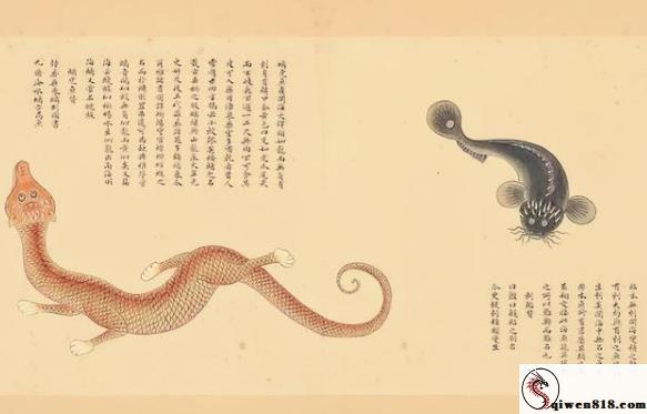 卡哇伊邪恶双马尾学妹拉闺蜜直播 流体小尾巴神小妹热闹的三角局大宝贝分不清谁更含情脉脉