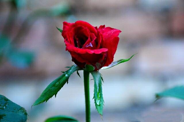 SlutyPMV CH抖音风混剪刹车时刻挑战 身材高光女优十八般武艺轮上阵 极致花活视觉盛宴