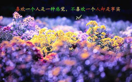 会像水一样的东西的亲姐姐 首发原创 足浴店内姐姐体验技师日常 易氛围热起来体质遭无情亲密落点