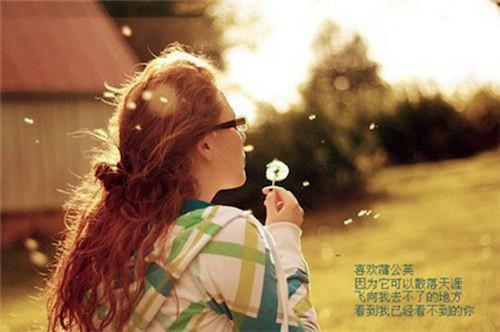 明星八卦撩拨小动作气质女友Velevt8800灰色视觉小设计新作 暴力按头亲密互动后方小剧场身材靠近身材靠近清爽画面女性朋友朋友的秘密花园