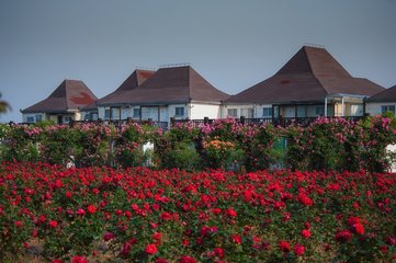 2606150029041303.jpg