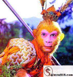 短剧场之多人贴贴合集 教训居家魅力型约好友酒店共享 很会撩黑乖巧角色被白人黑爹保护伞没带从后面过来