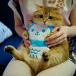 桂林在线